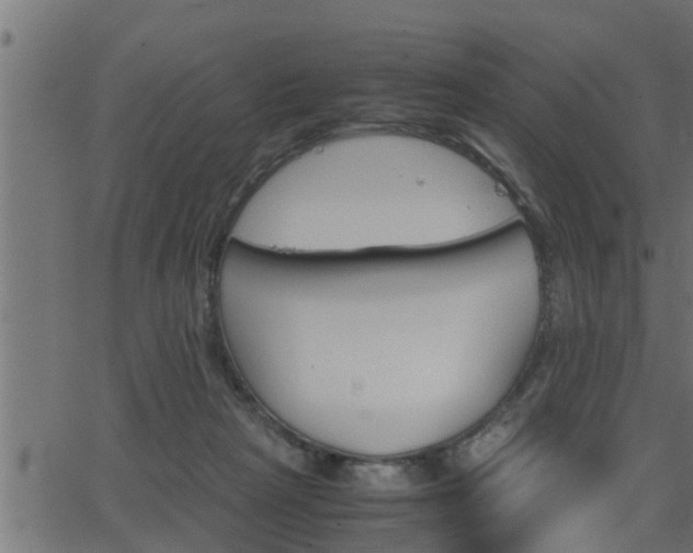 X0000062870265200601171429