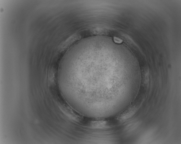 X0000062870266200601171429