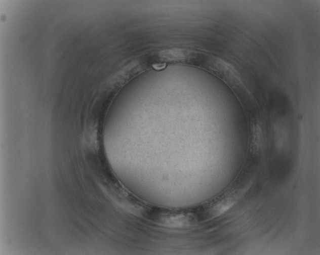 X0000062870267200601171429