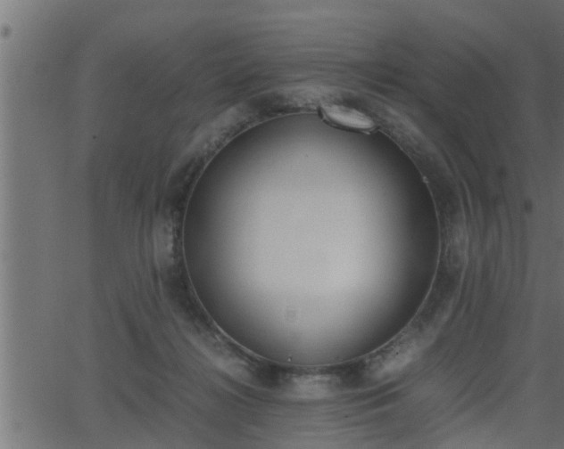 X0000062870268200601171429