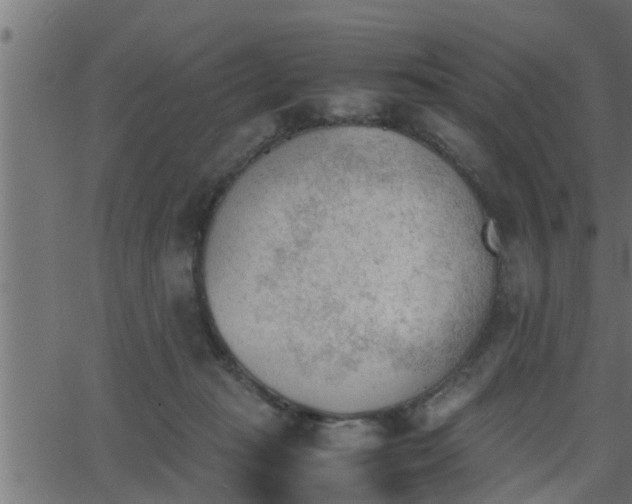 X0000062870269200601171429