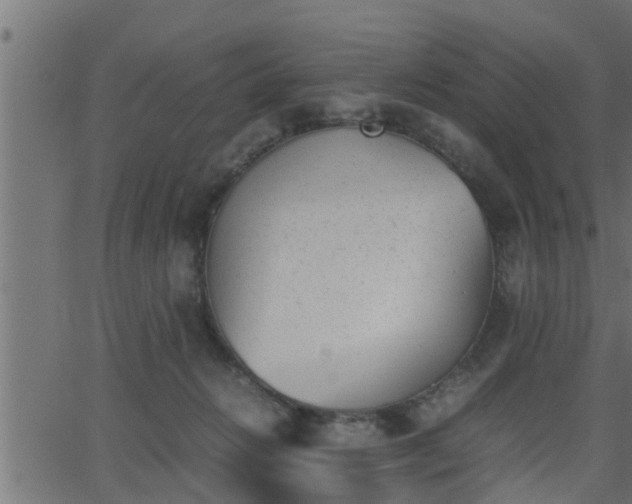 X0000062870270200601171429