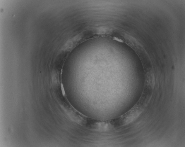 X0000062870272200601171429