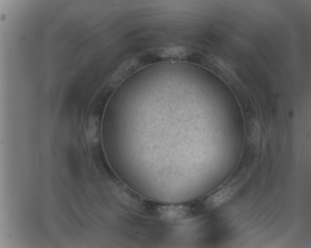 X0000062870273200601171429