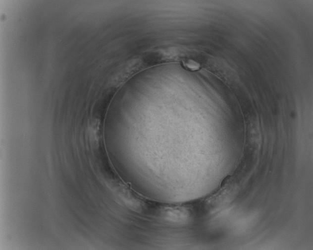 X0000062870275200601171429