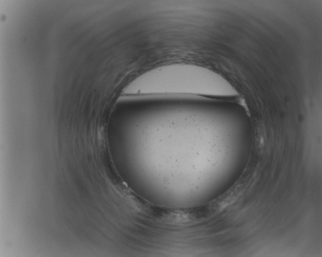 X0000062870276200601171429