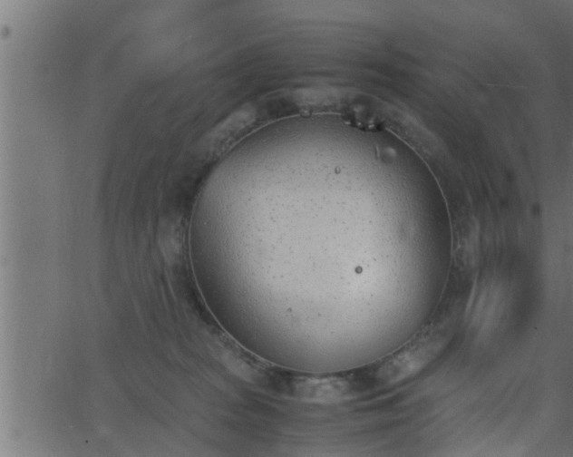 X0000062870277200601171429