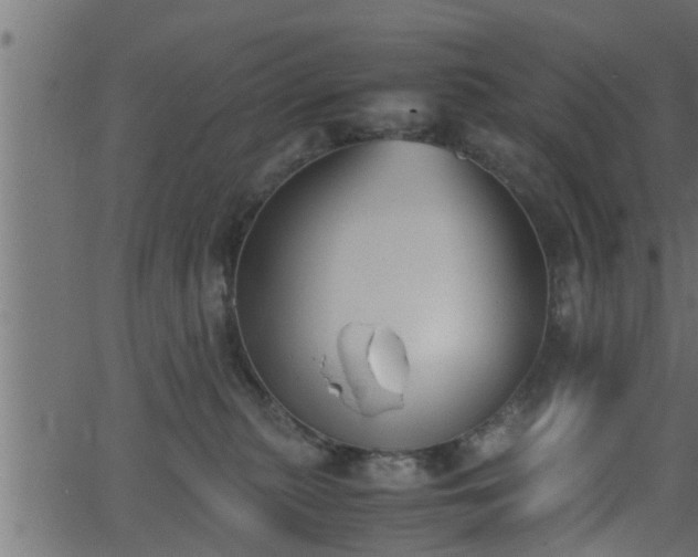 X0000062870279200601171429