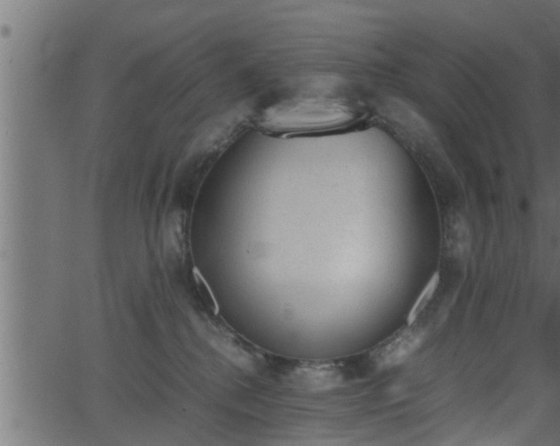 X0000062870280200601171429