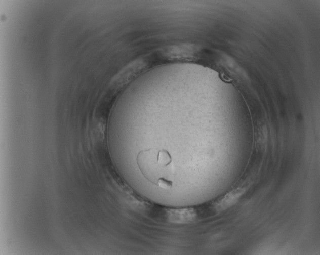 X0000062870281200601171429