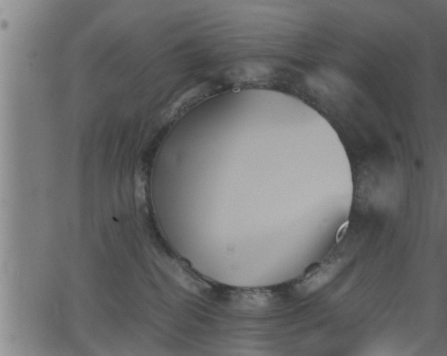 X0000062870282200601171429