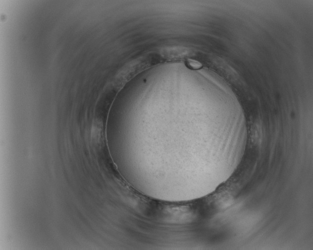 X0000062870283200601171429