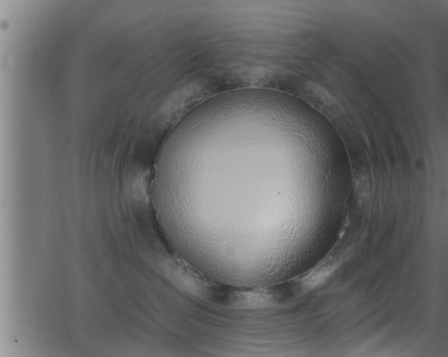 X0000062870286200601171429