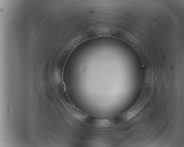 X0000062870287200601171429