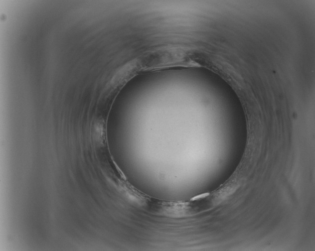 X0000062870288200601171429