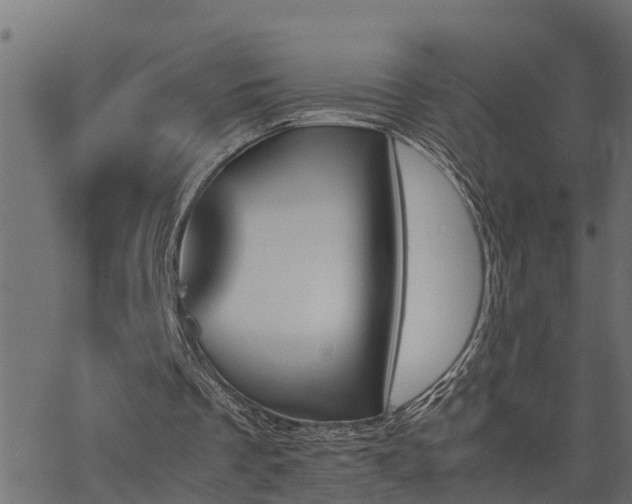 X0000062870289200601171429