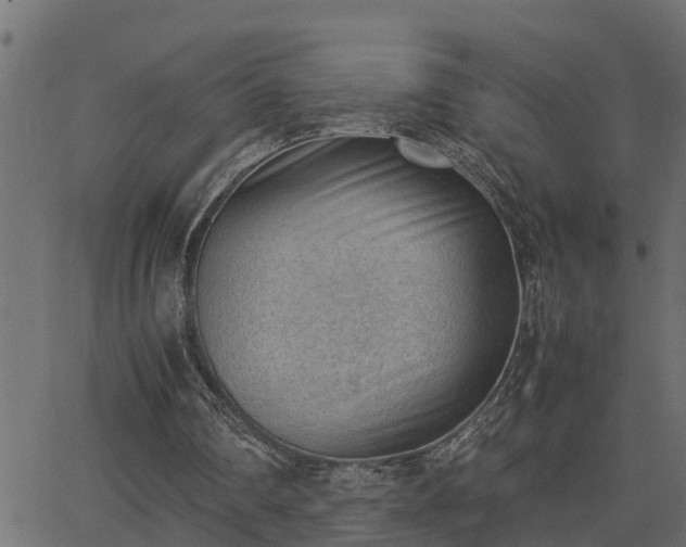 X0000062870290200601171428