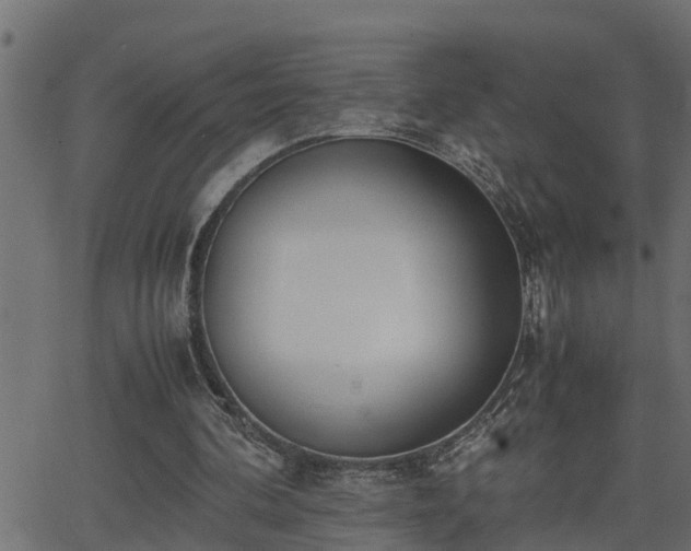 X0000062870292200601171428