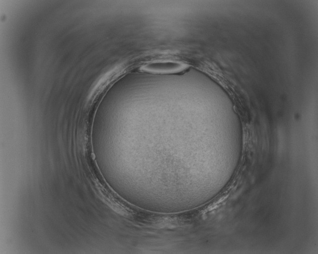 X0000062870293200601171428