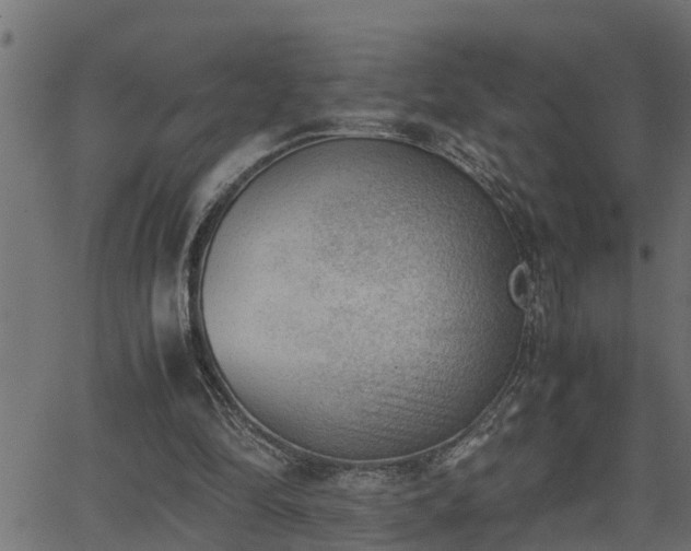 X0000062870294200601171428