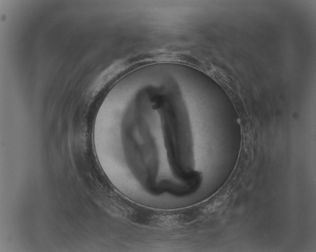 X0000062870295200601171428