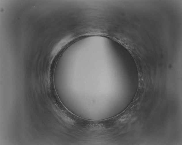 X0000062870296200601171428