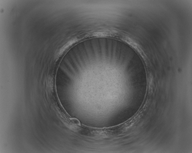 X0000062870297200601171428