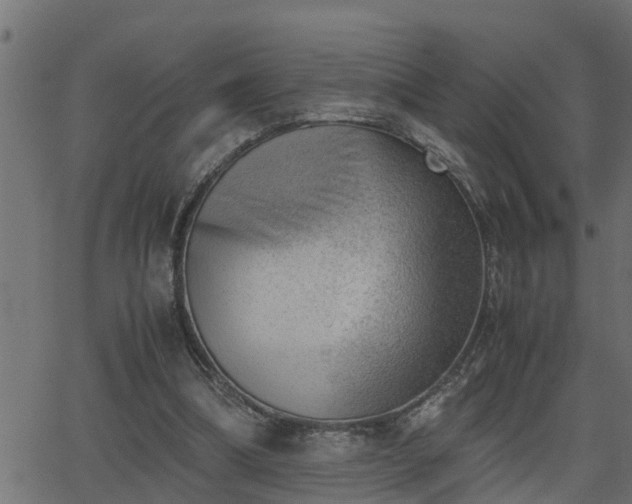 X0000062870298200601171428