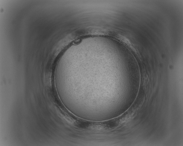 X0000062870299200601171428