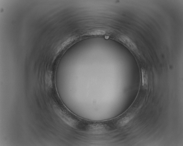 X0000062870300200601171428