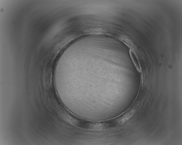 X0000062870301200601171428