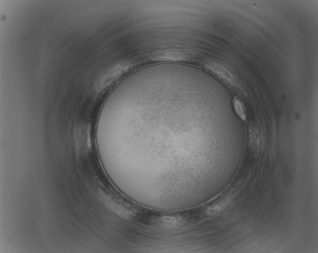 X0000062870302200601171428