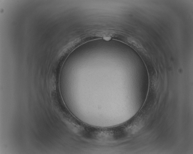 X0000062870303200601171428