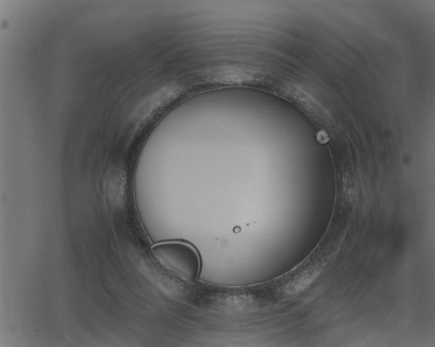 X0000062870304200601171428