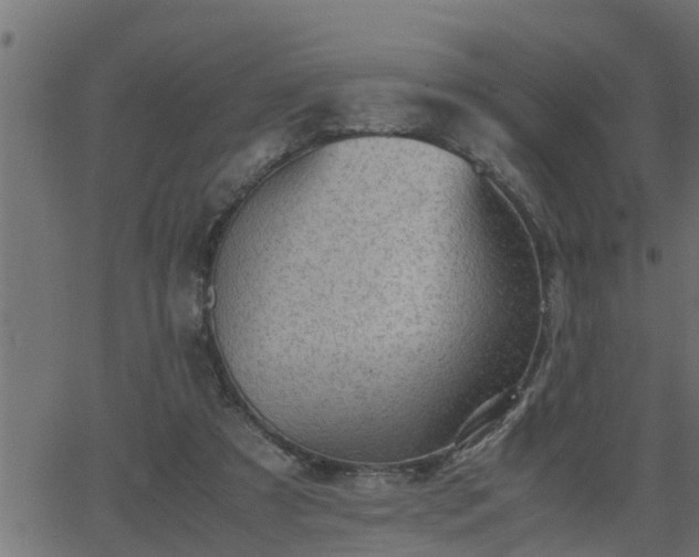 X0000062870305200601171428