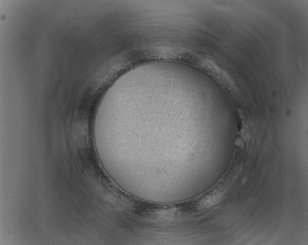 X0000062870306200601171428