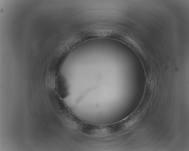 X0000062870307200601171428