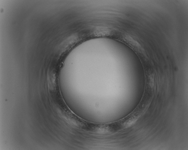 X0000062870308200601171428