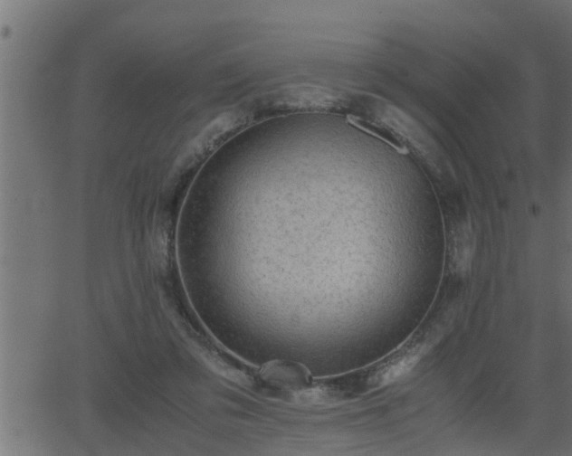 X0000062870309200601171428