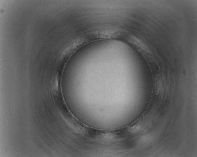 X0000062870310200601171428