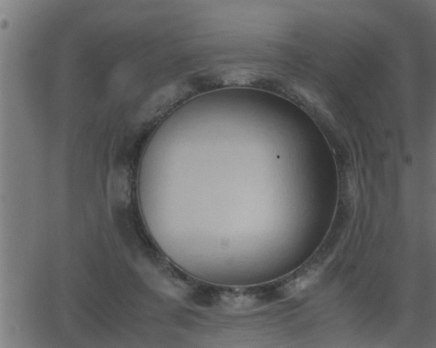 X0000062870311200601171428