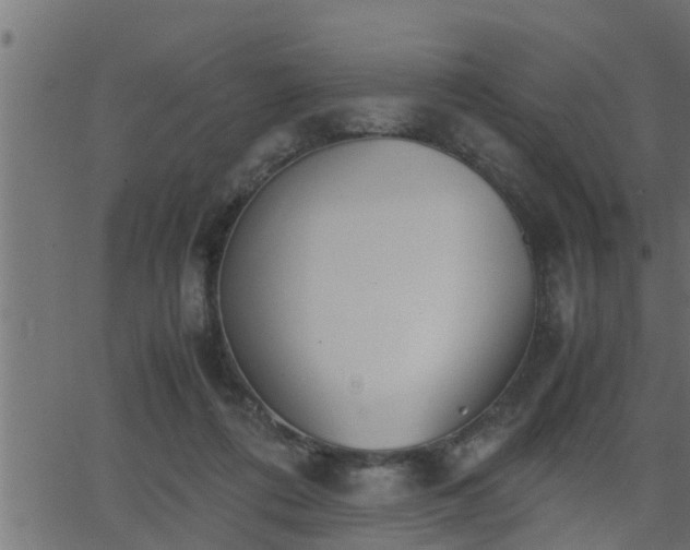 X0000062870312200601171428