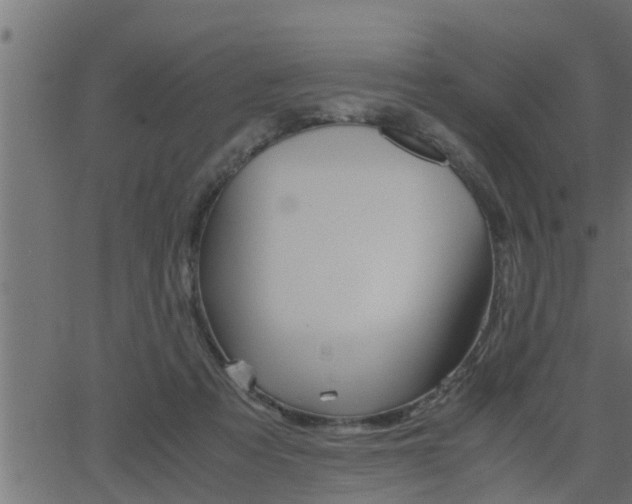 X0000062870313200601171428