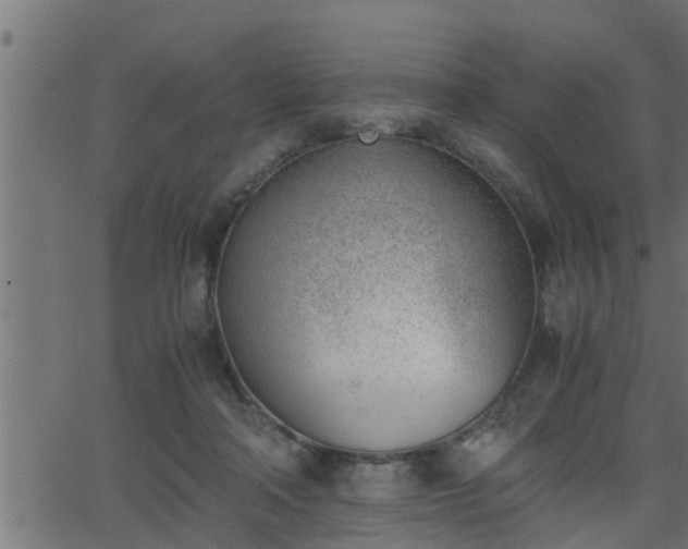 X0000062870314200601171428