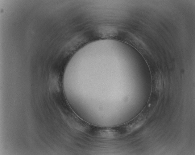 X0000062870316200601171428