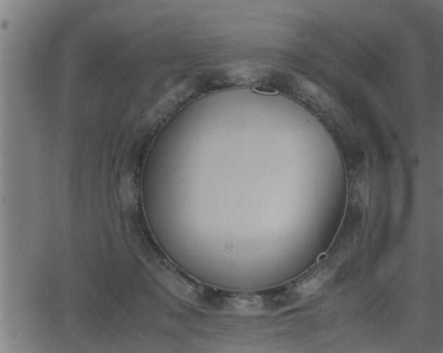 X0000062870317200601171428