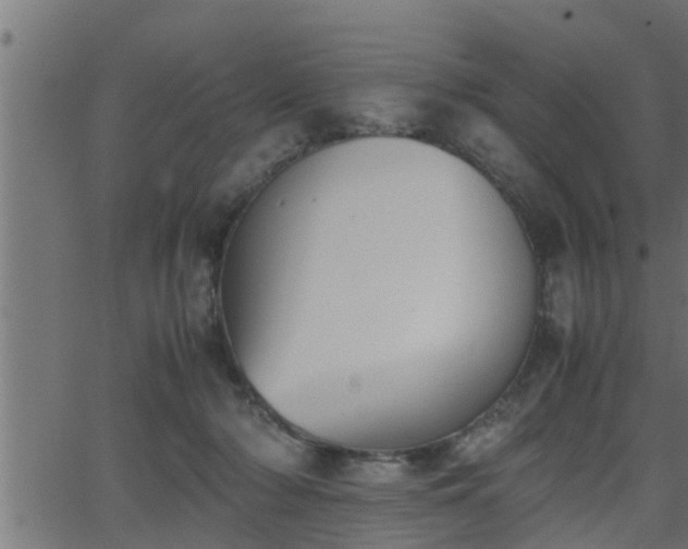 X0000062870318200601171428