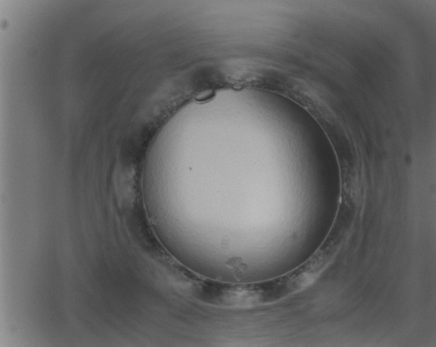 X0000062870319200601171428