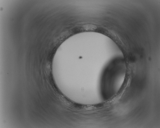 X0000062870321200601171428