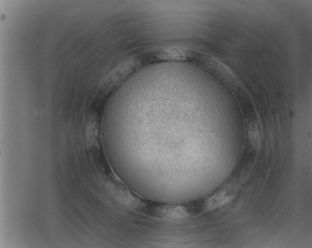 X0000062870322200601171428